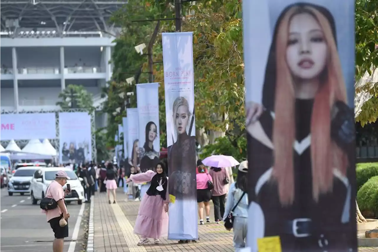 BPKN siap tindaklanjuti keluhan para penonton konser BLACKPINK