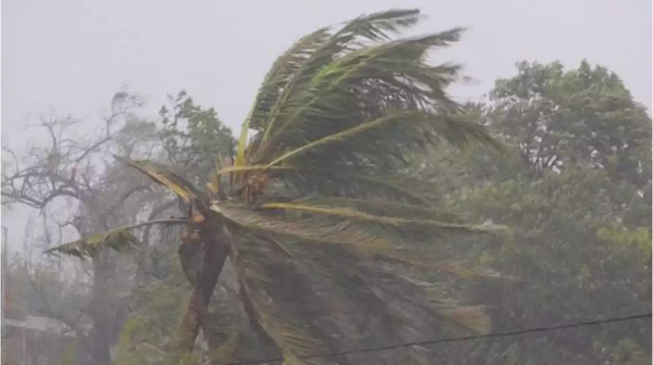 Africa Live: Malawi closes schools in Cyclone Freddy aftermath - BBC News