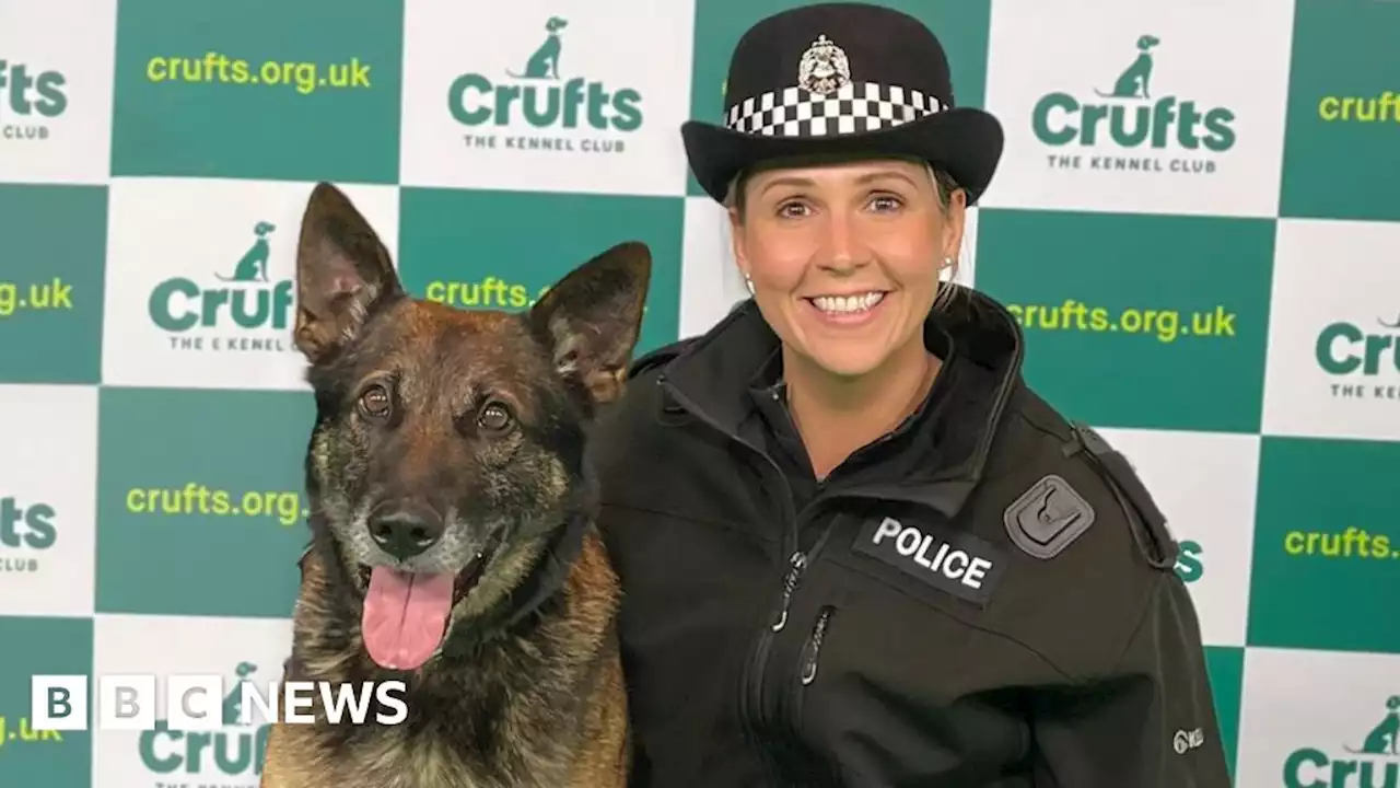 Police Scotland dog and handler honoured at Crufts