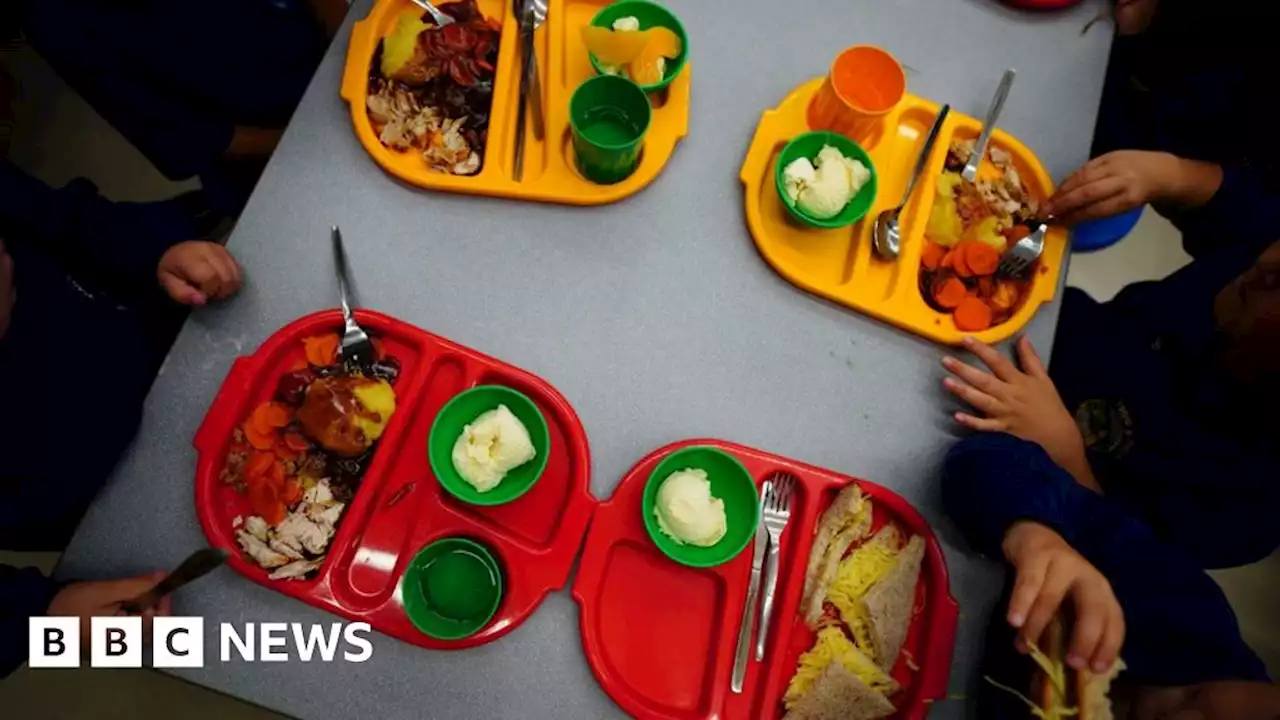 School meals: 'Holiday hunger' payments not guaranteed for Easter break