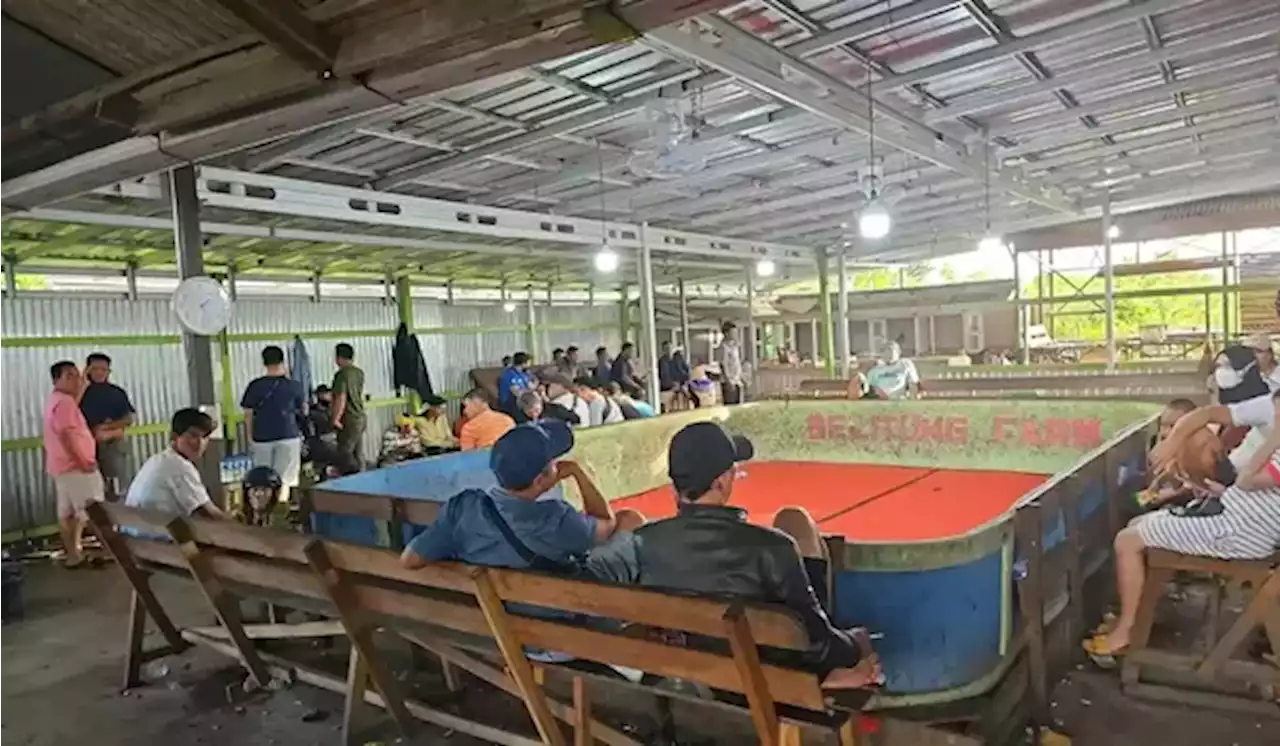 Polisi Gerebek Arena Judi Dadu dan Sabung Ayam Beromset Ratusan Juta di Banjarmasin