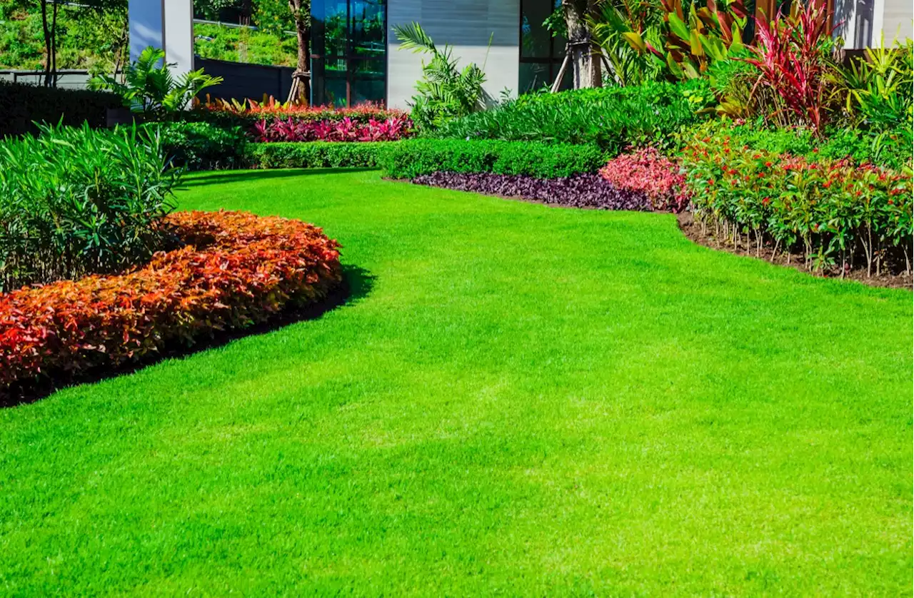 5 Spring Cleaning Tips to Get Your Lawn Ready for Guests