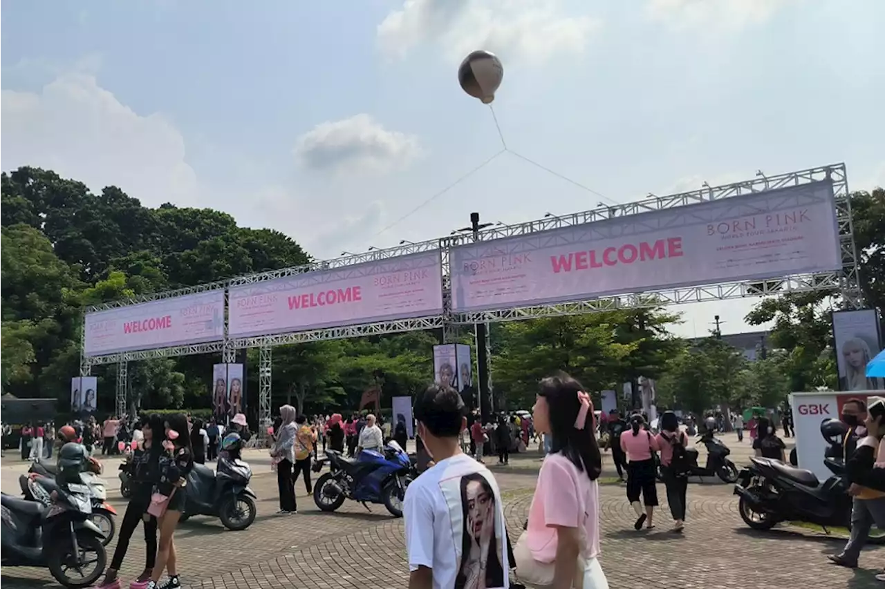 Pasca Konser BLACKPINK, Pihak GBK Kebut Perawatan Rumput Stadion