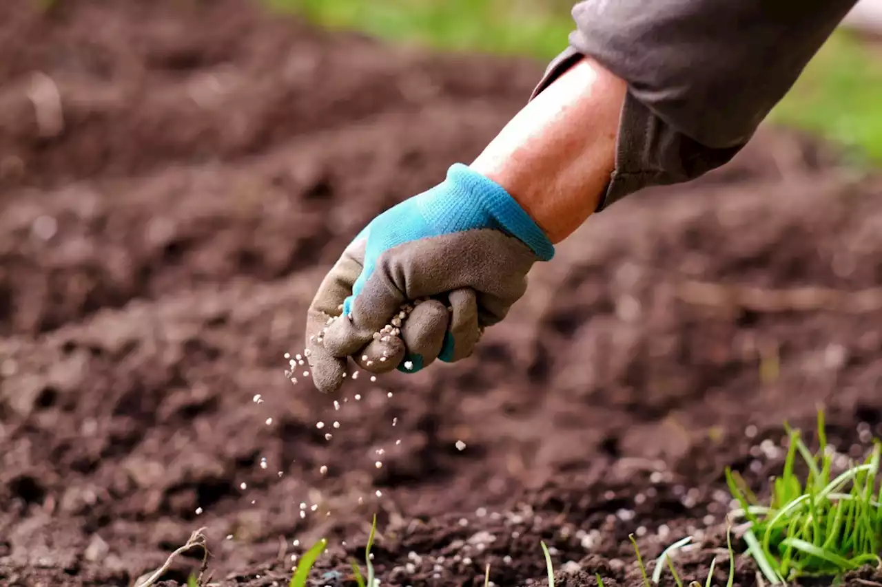 I’m obsessed with growing my own seedlings; creating life keeps me optimistic