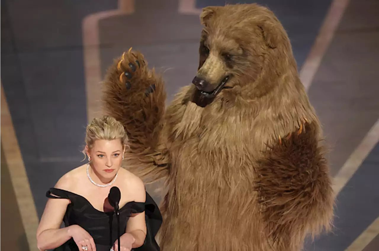 Cocaine Bear Showed Up Nude At The Oscars