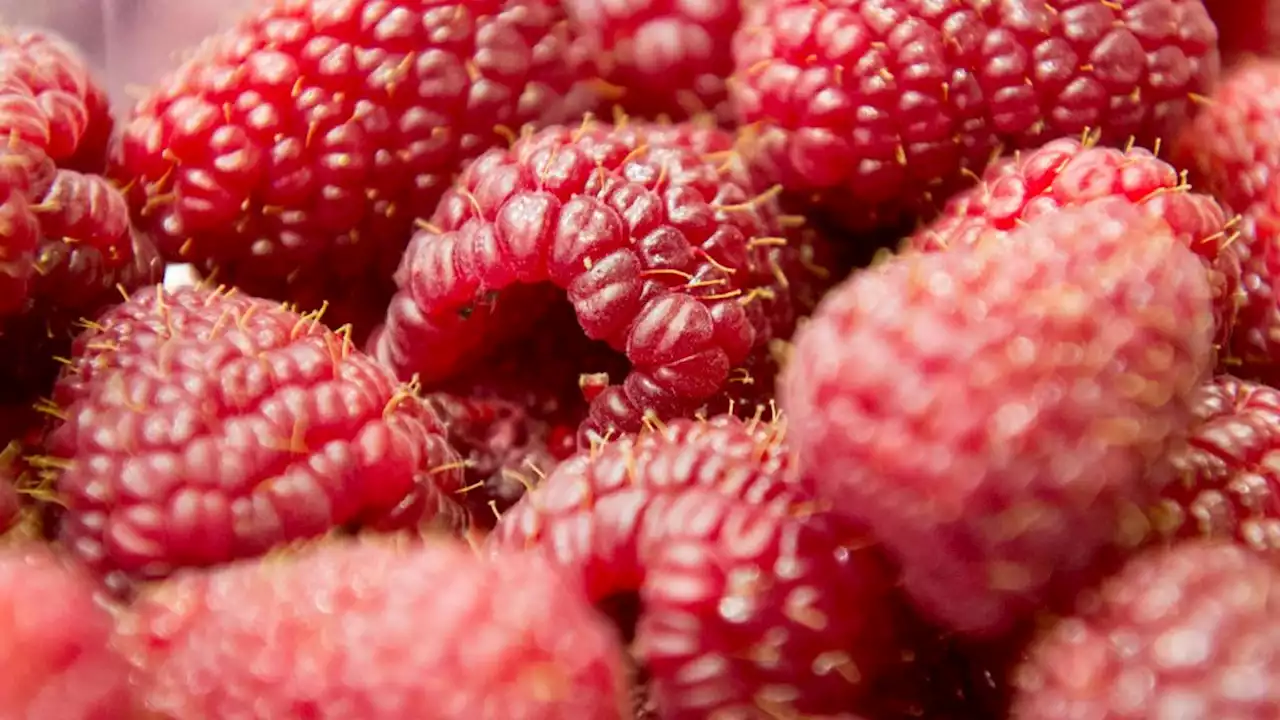 Taugen Himbeeren als Schmerzmittel-Ersatz für ASS?