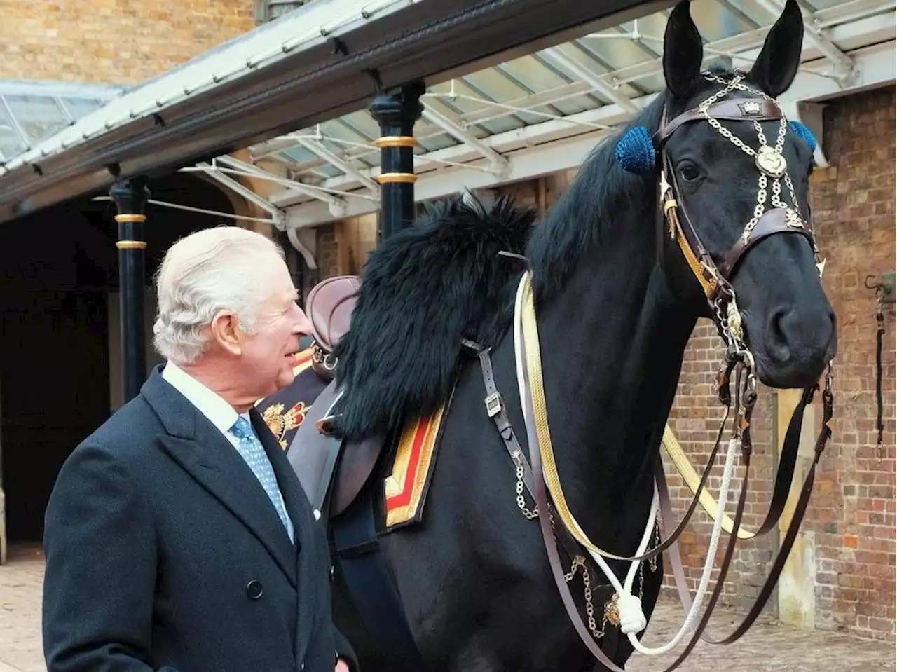 RCMP gifts musical ride horse to King Charles ahead of upcoming coronation