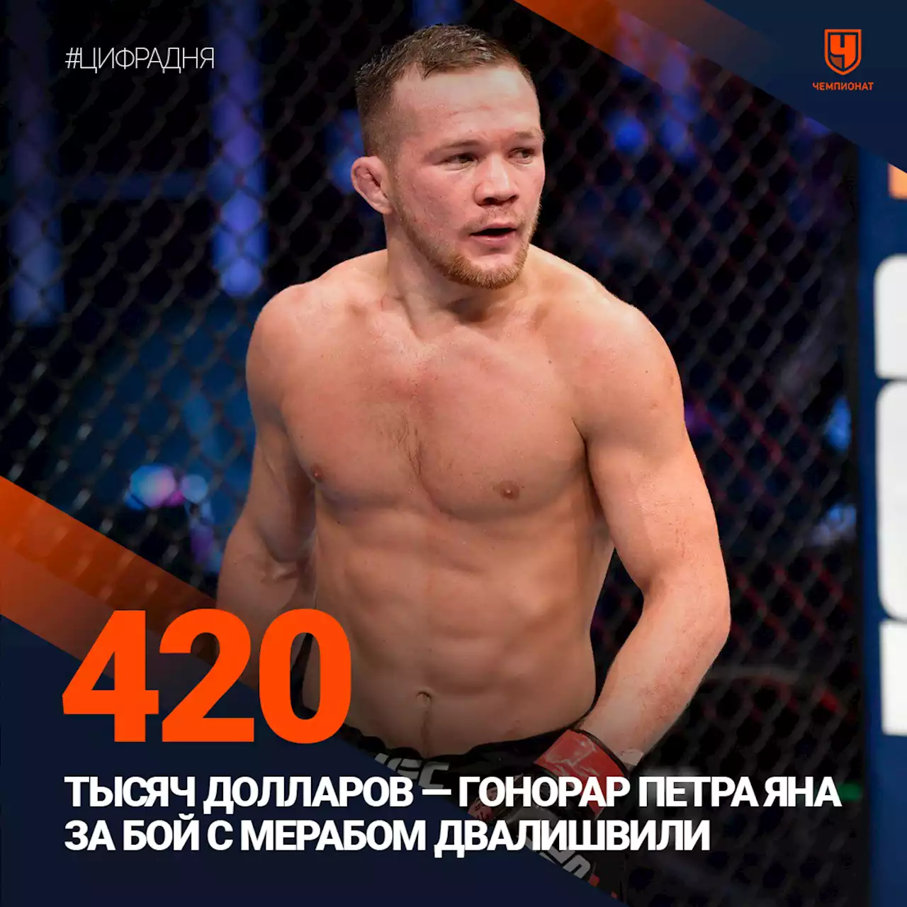 Стали известны гонорары Петра Яна и Александра Волкова за бои на UFC Fight Night 221