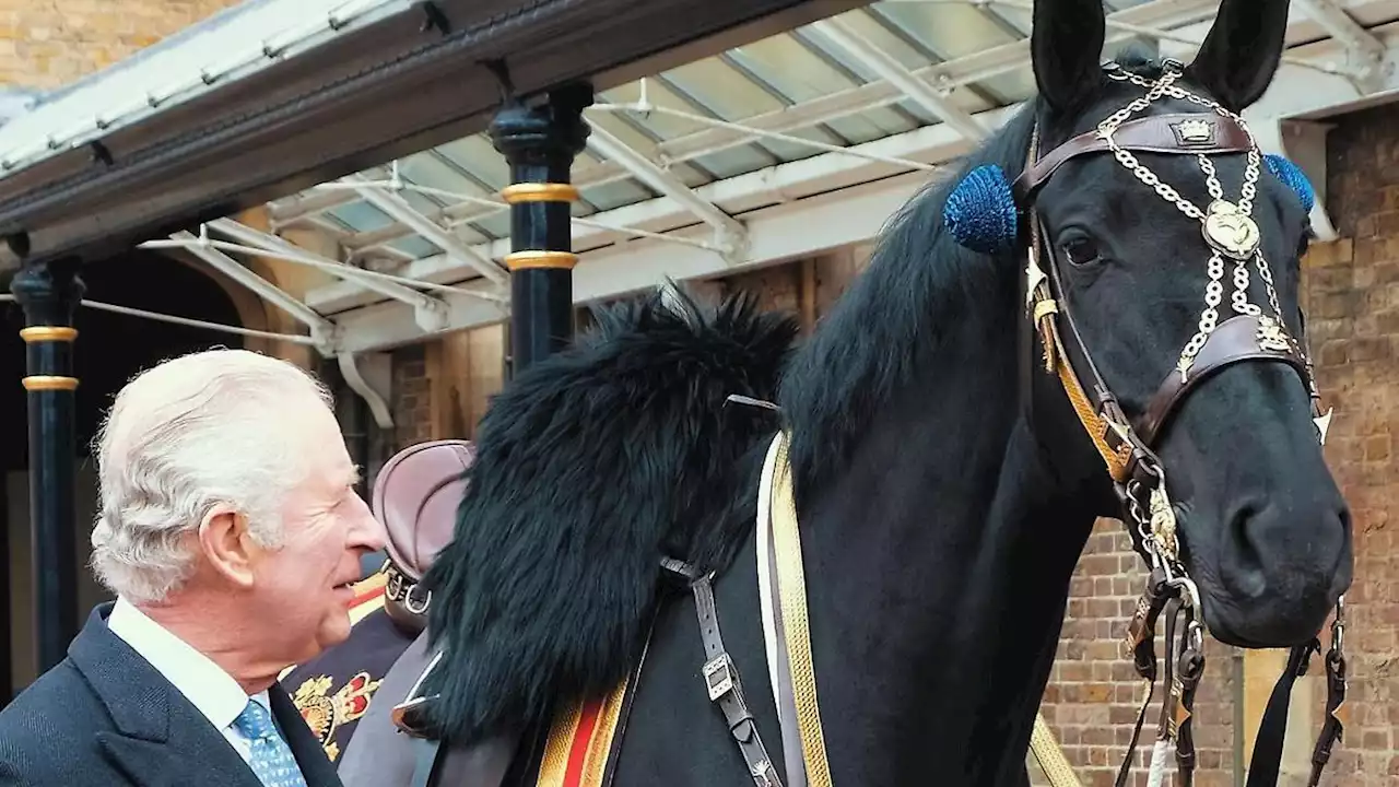 Polizeipferd geht bei König Charles III. in Rente