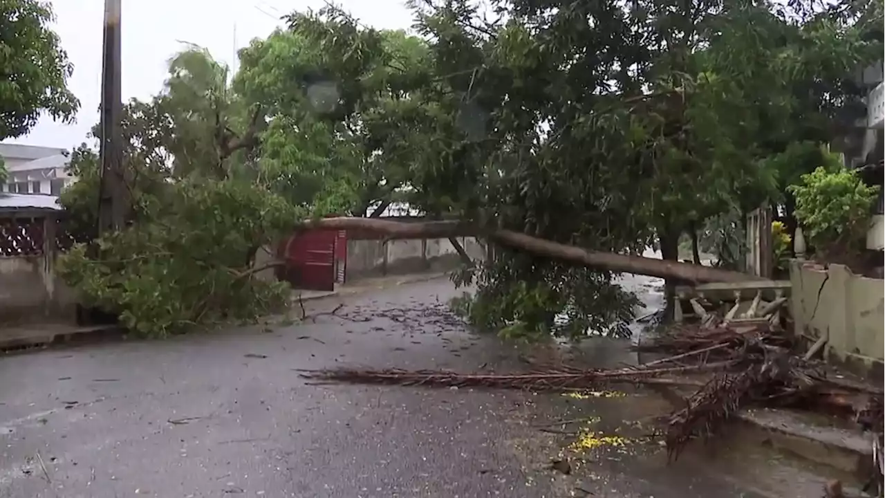 Death toll climbs as Cyclone Freddy slams Malawi, Mozambique