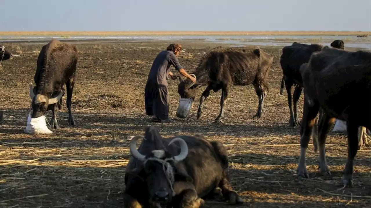 Iraqi PM promises action to tackle crippling climate change