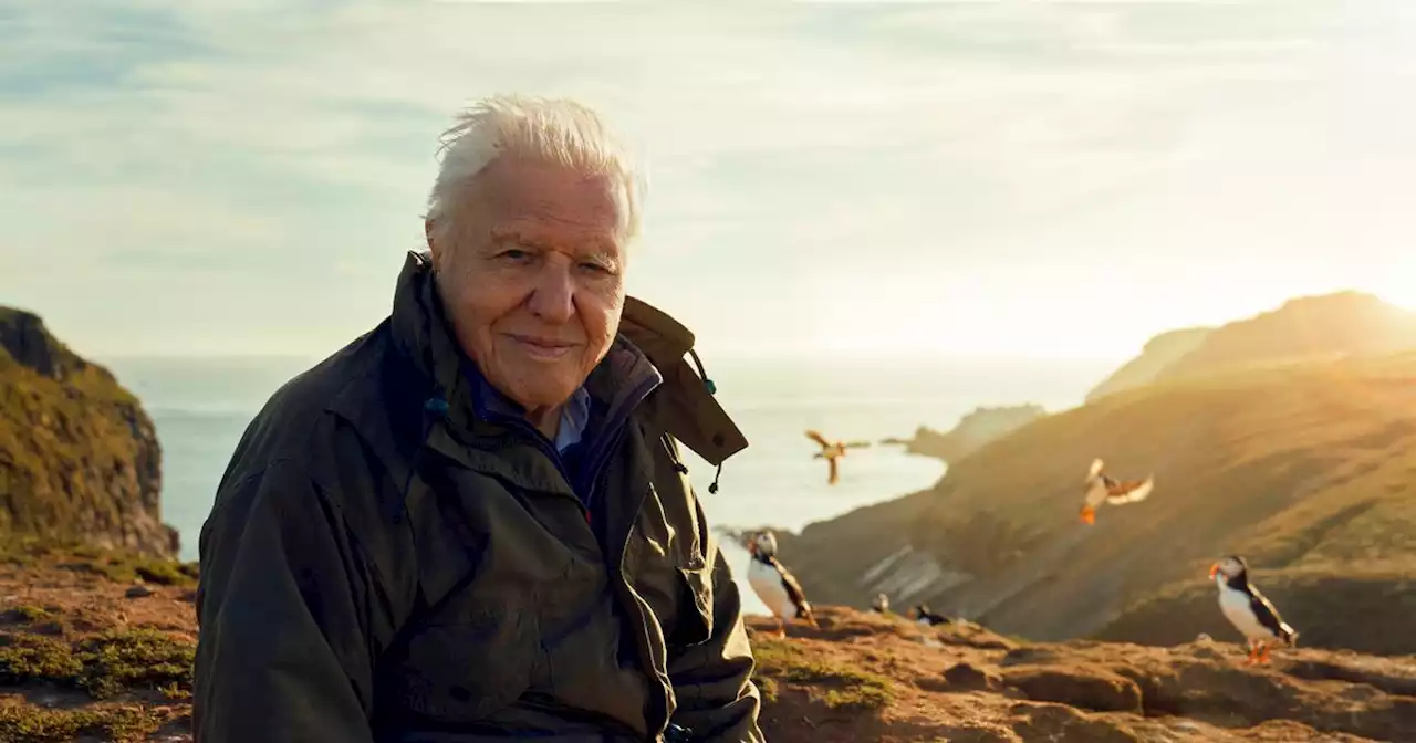 David Attenborough warns 'nature in crisis' as Scots charities bid to save it