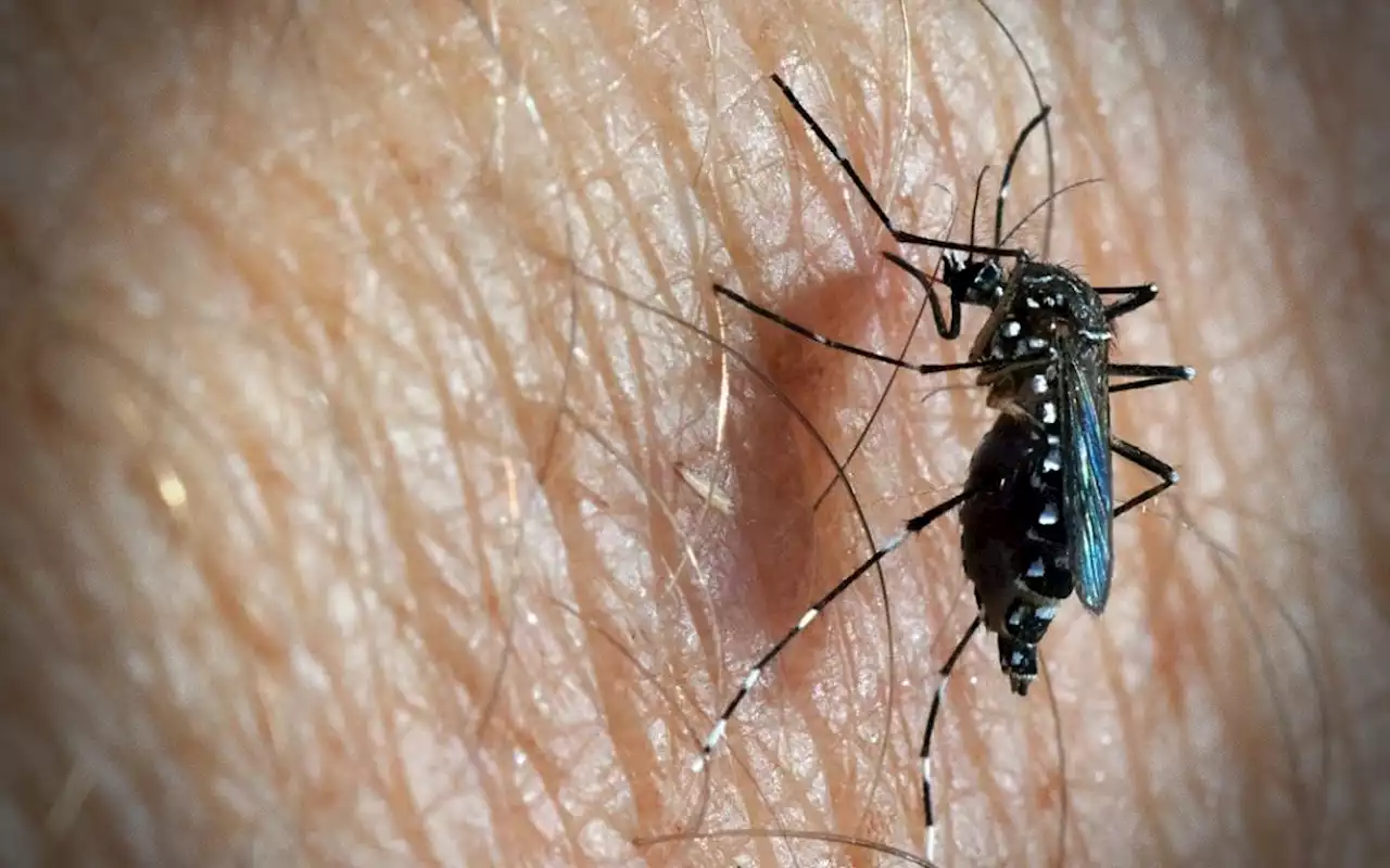 Kesedaran masyarakat penting perangi aedes: Norazlinah