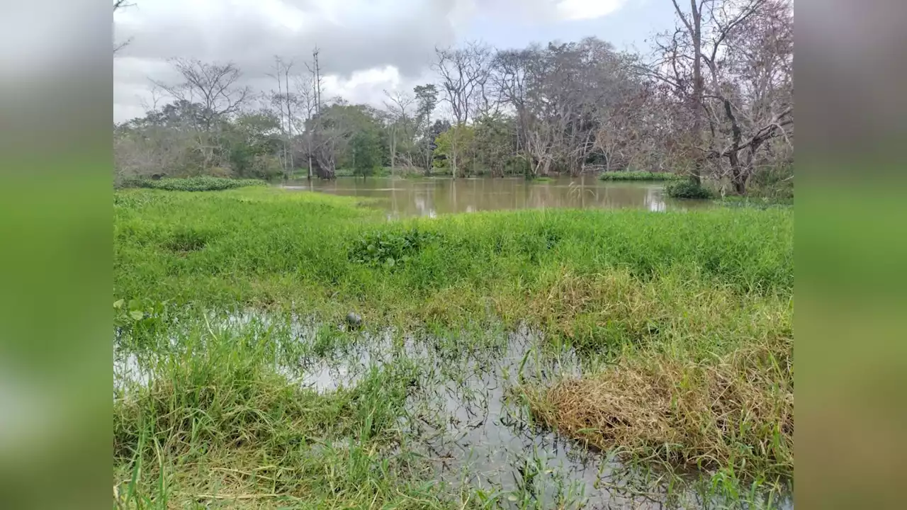 Alarma en la Mojana por aumento en los niveles de las aguas