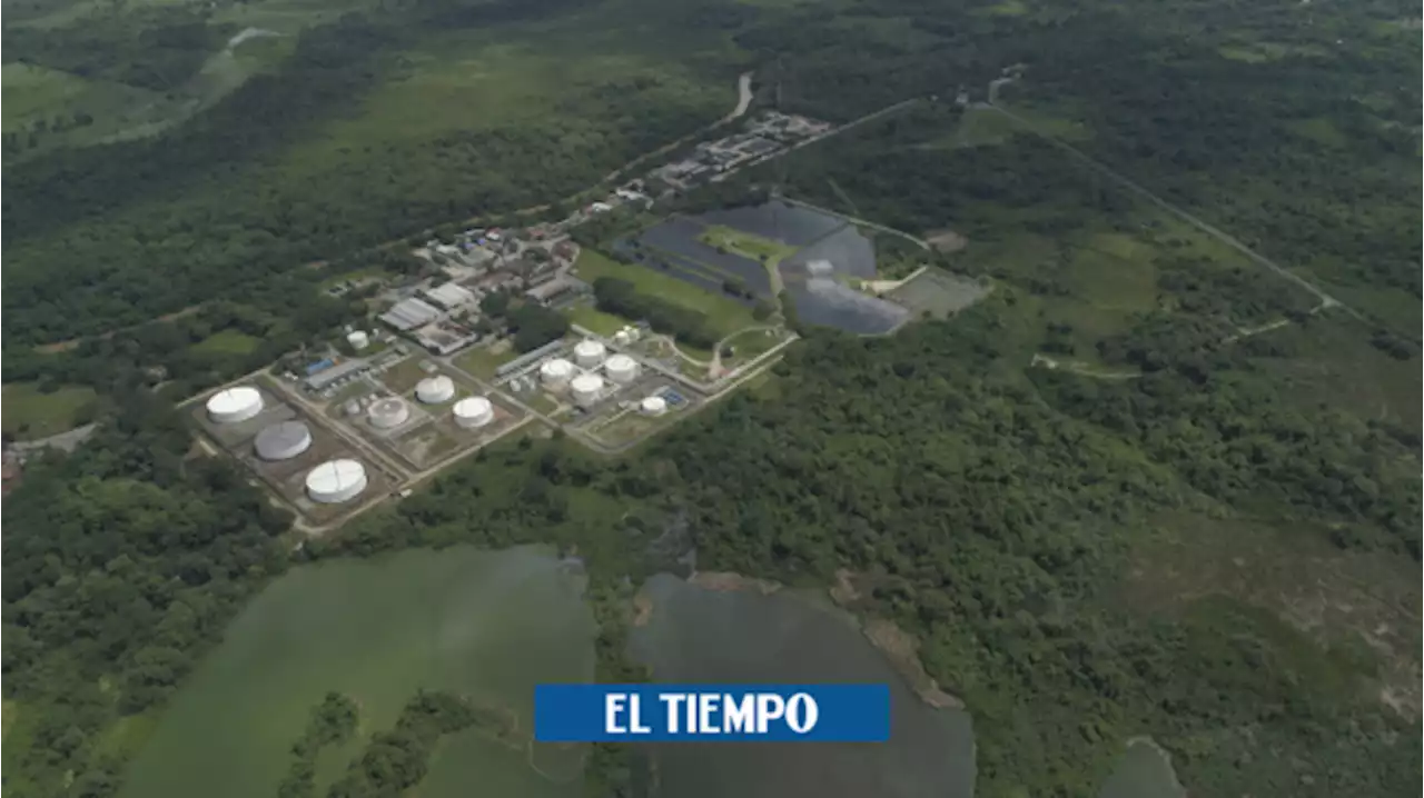 En Arauca, el Eln no cesa sus hostigamientos