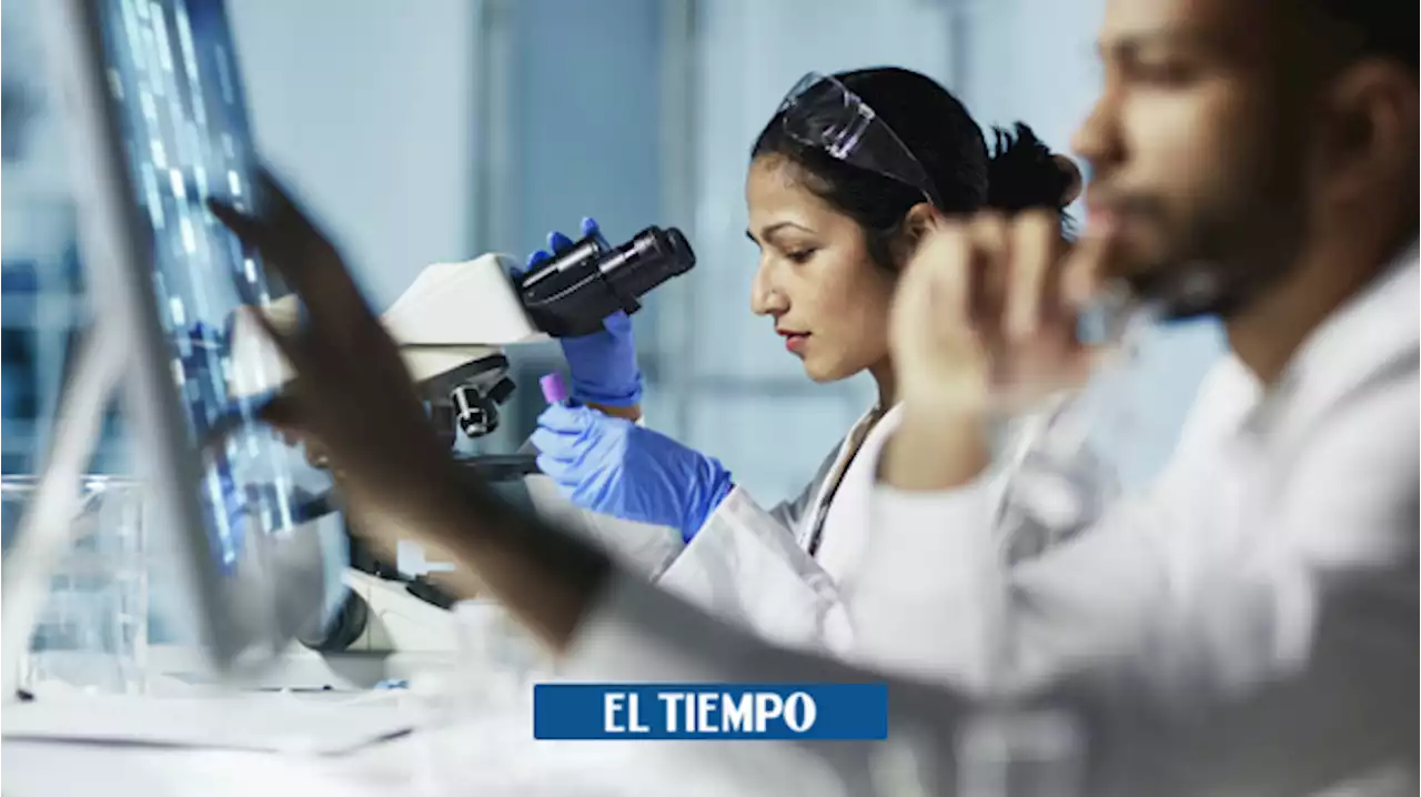 Minciencias apoyará los proyectos de 60 científicas colombianas