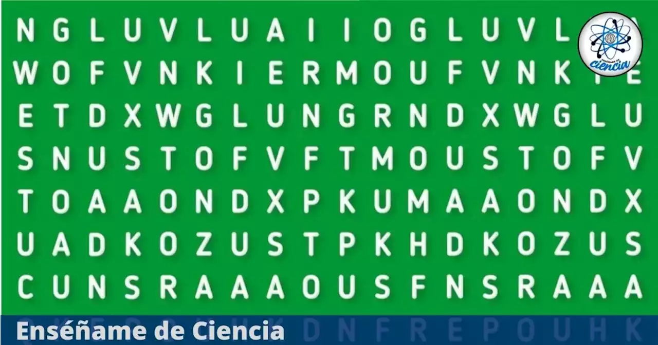 Acertijo visual: El 95% falló en encontrar la palabra “CUCARACHAS” en la sopa de letras