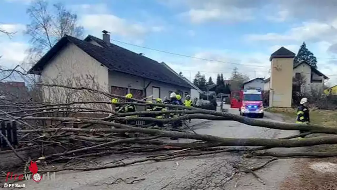 Oö: Umgestürzter Baum blockierte Straße in Garsten