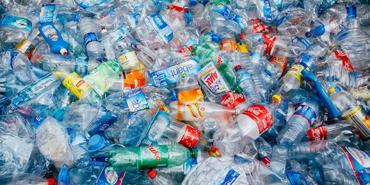 Leipziger Forscher entdecken Enzym, das Plastikflasche in Rekordzeit abbaut