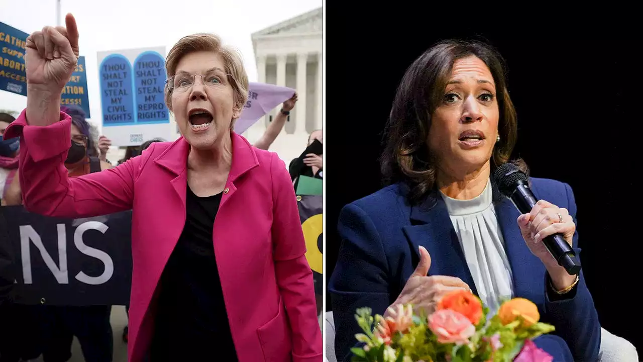 Kamala Harris won't speak to Elizabeth Warren after 'pretty insulting' 2024 snub: Report