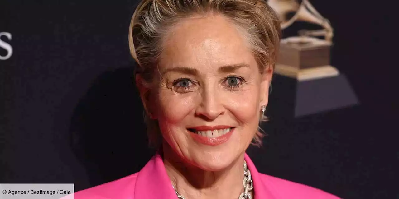 Sharon Stone, le “coeur brisé”: son rôle dans Basic Instinct lui a fait perdre la garde de son fils - Gala