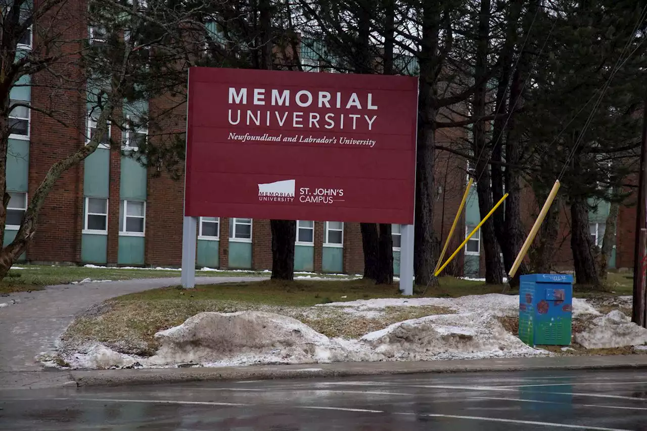 Memorial University president apologizes, steps back from duties amid Indigenous claims scrutiny