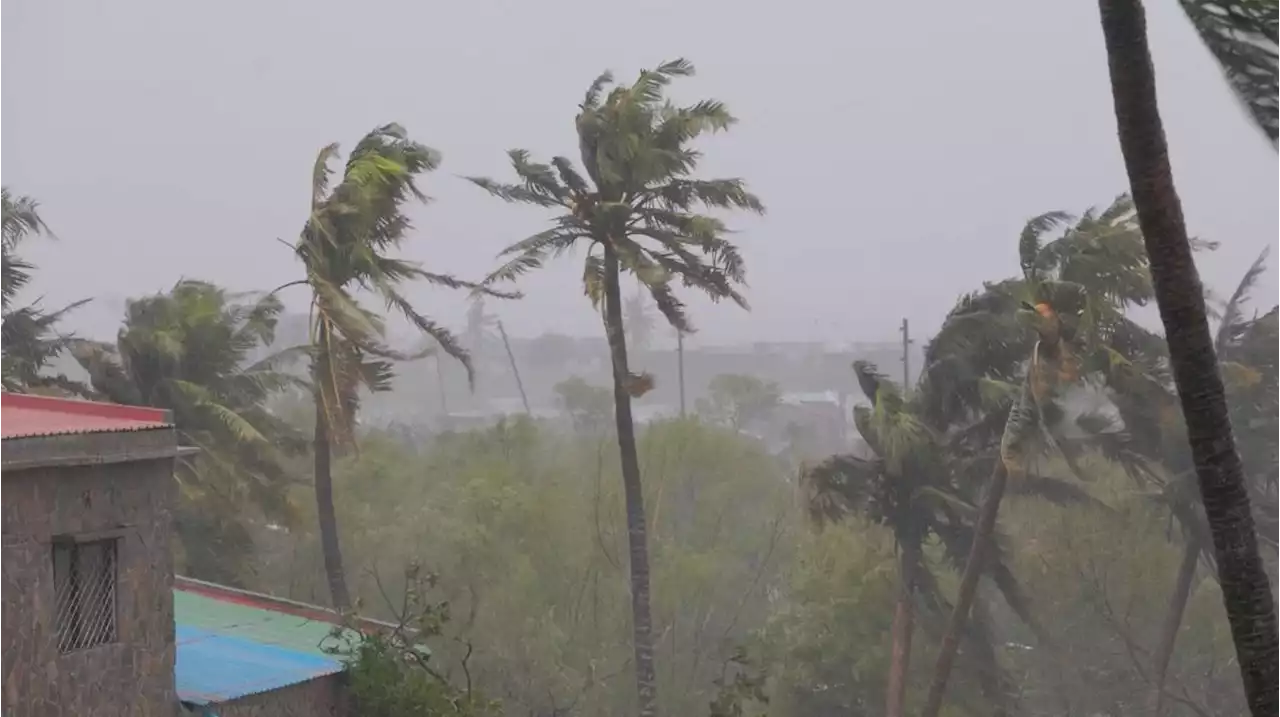 Record-strength cyclone Freddy displaces hundreds in Mozambique