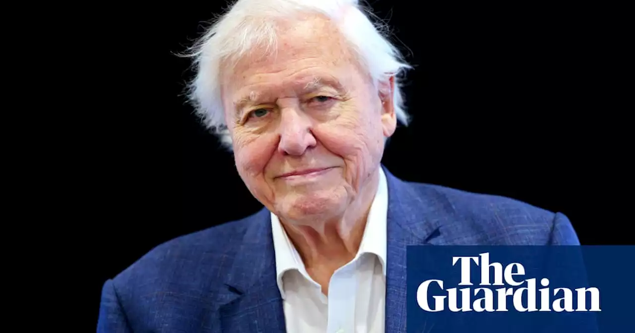 David Attenborough says nature is in crisis but ‘we have the solutions’