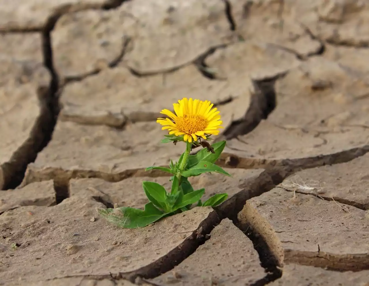 Patience versus wasting time