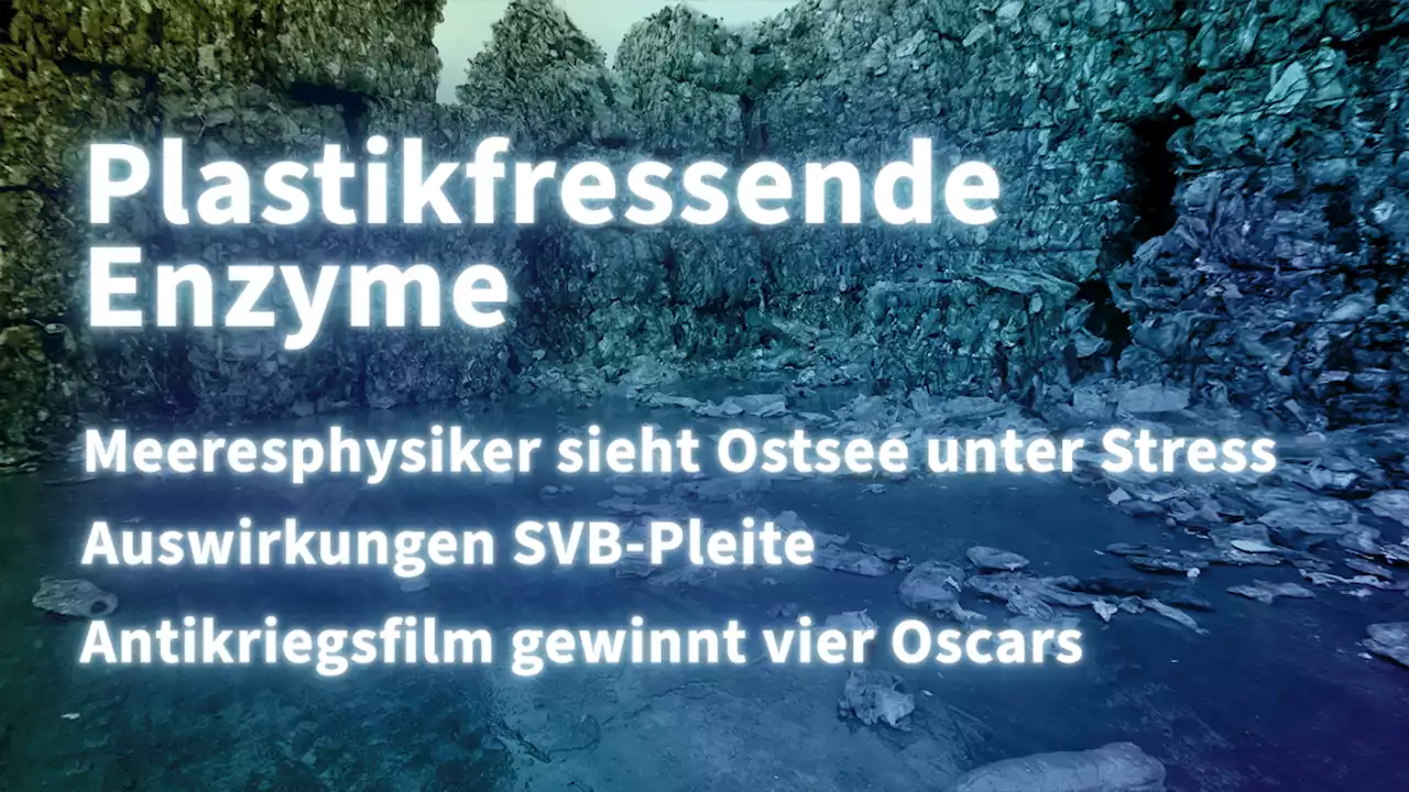 Kurz informiert: Kunststoff, Ostsee, Etsy, Antikriegsfilm