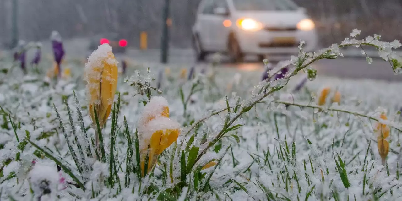 20 Grad, Schnee – jetzt geht's Schlag auf Schlag