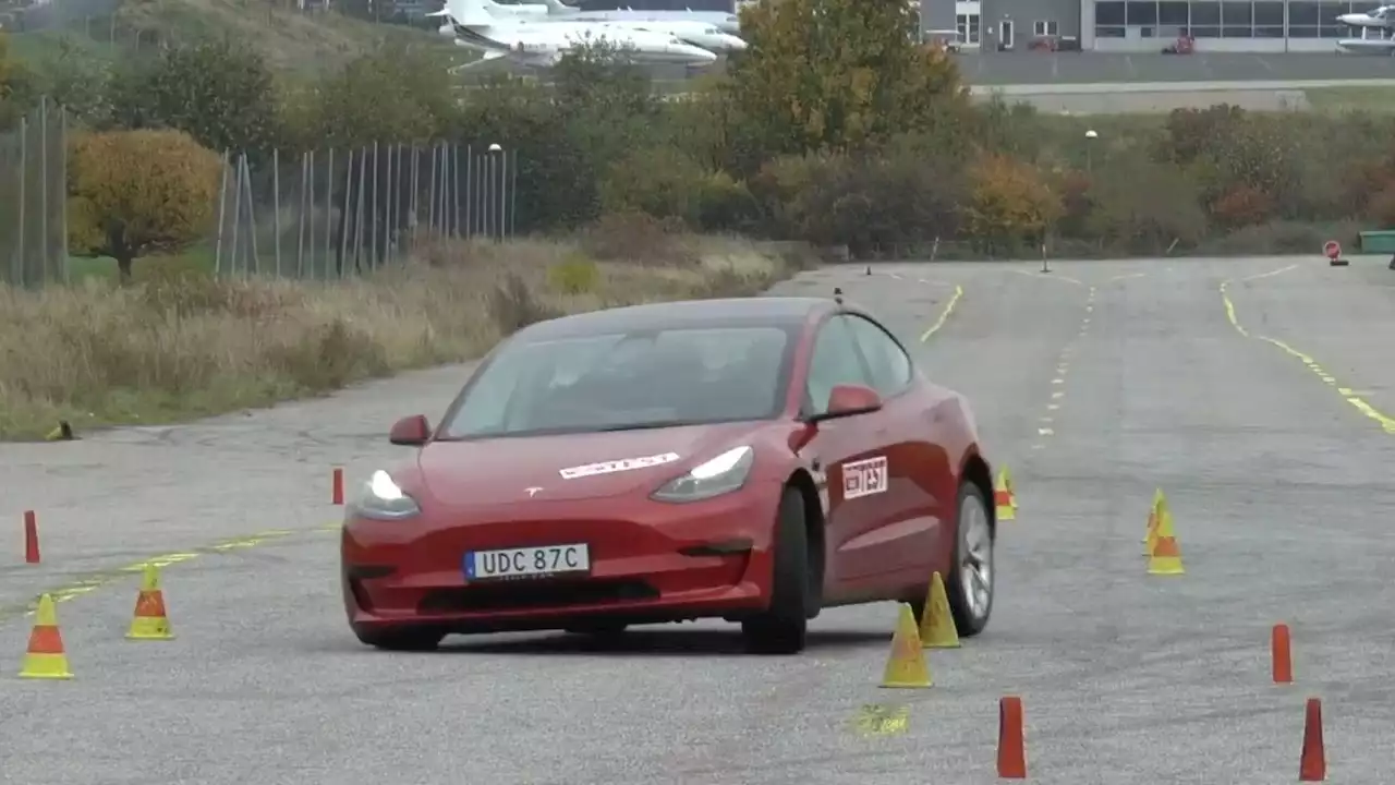 Watch Tesla Model 3 Standard Range Perform Flawless Moose Test