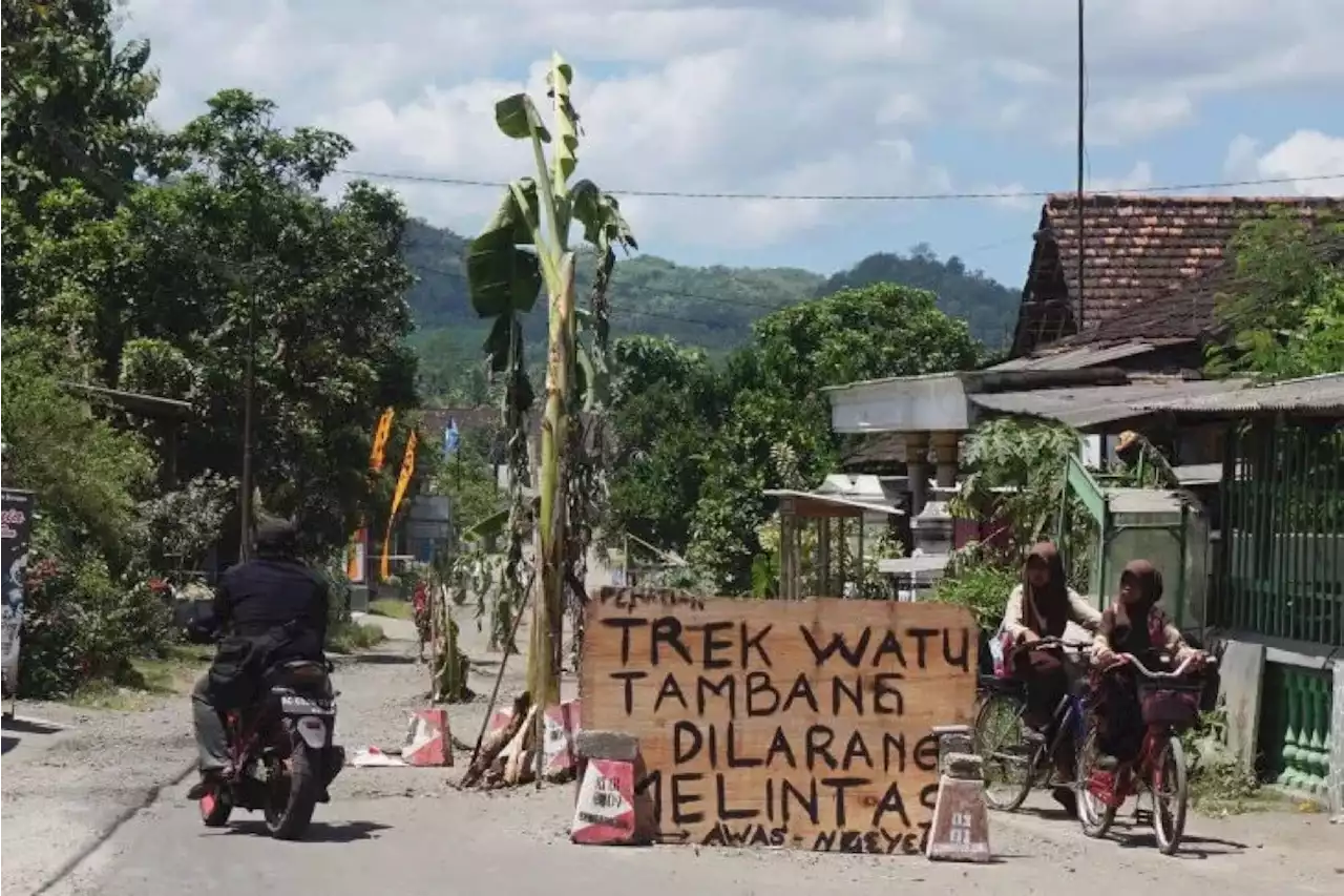 Geram Jalanan Rusak, Warga Tulungagung Tanam Pohon Pisang