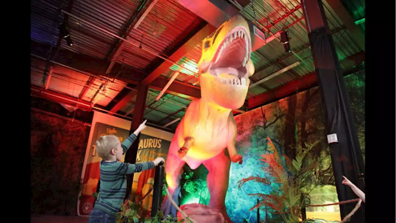 Immersive Dino Safari opens in San Antonio for limited time