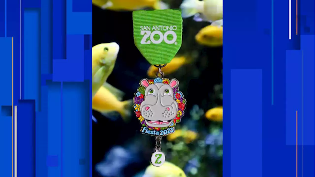 San Antonio Zoo highlights popular hippo with 2023 Fiesta metal