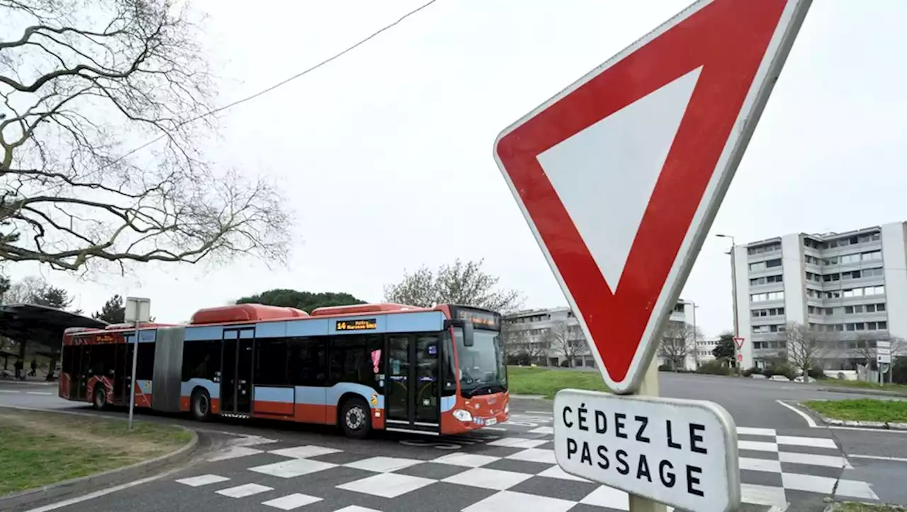 Travaux, incivilités, accidents : le parcours du combattant des chauffeurs de bus à Toulouse