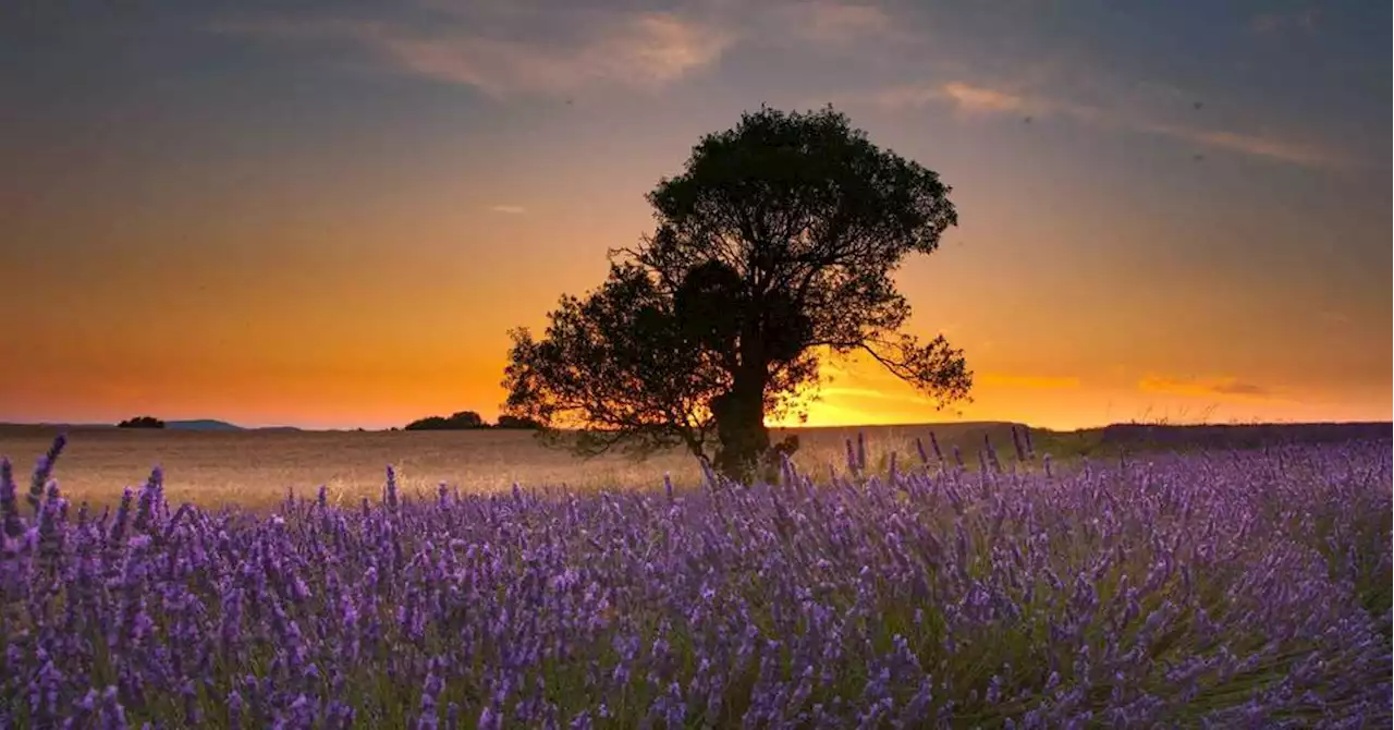 Istres : une exposition photo 'Couleurs et lumières en Provence'