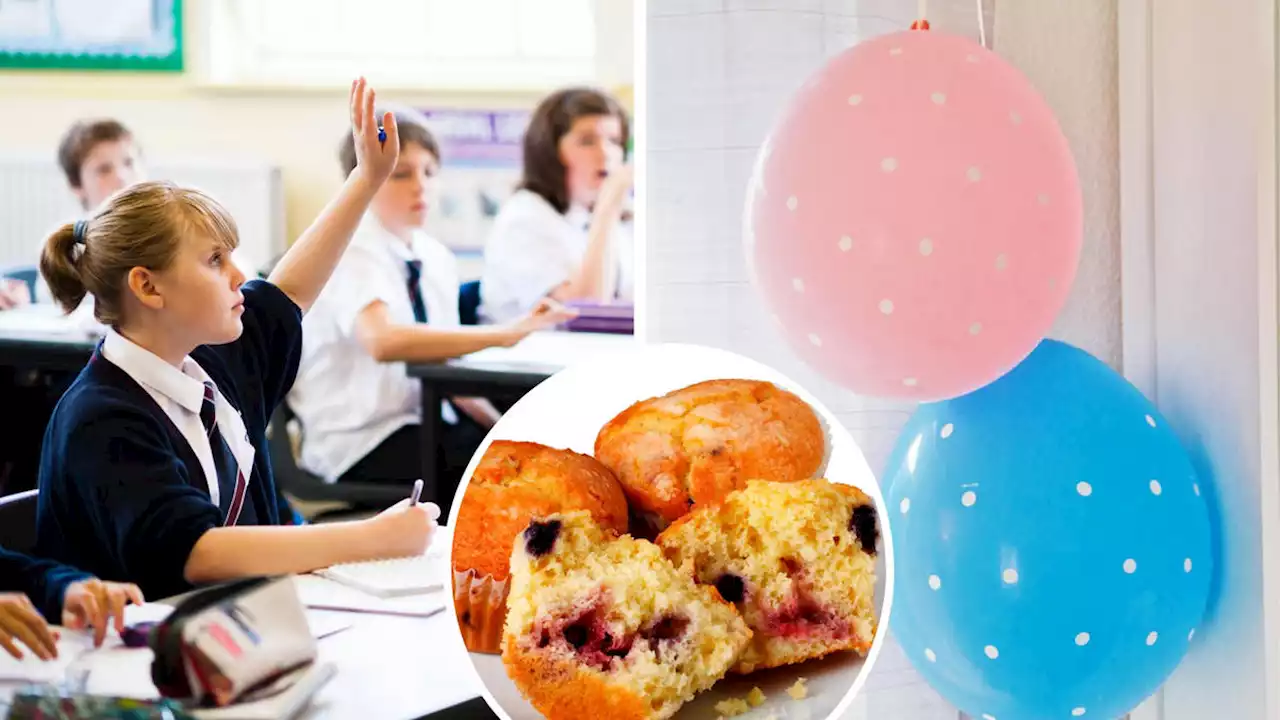 Children as young as seven could be 'mixed berry gender-fluid muffins', sex education pamphlet says