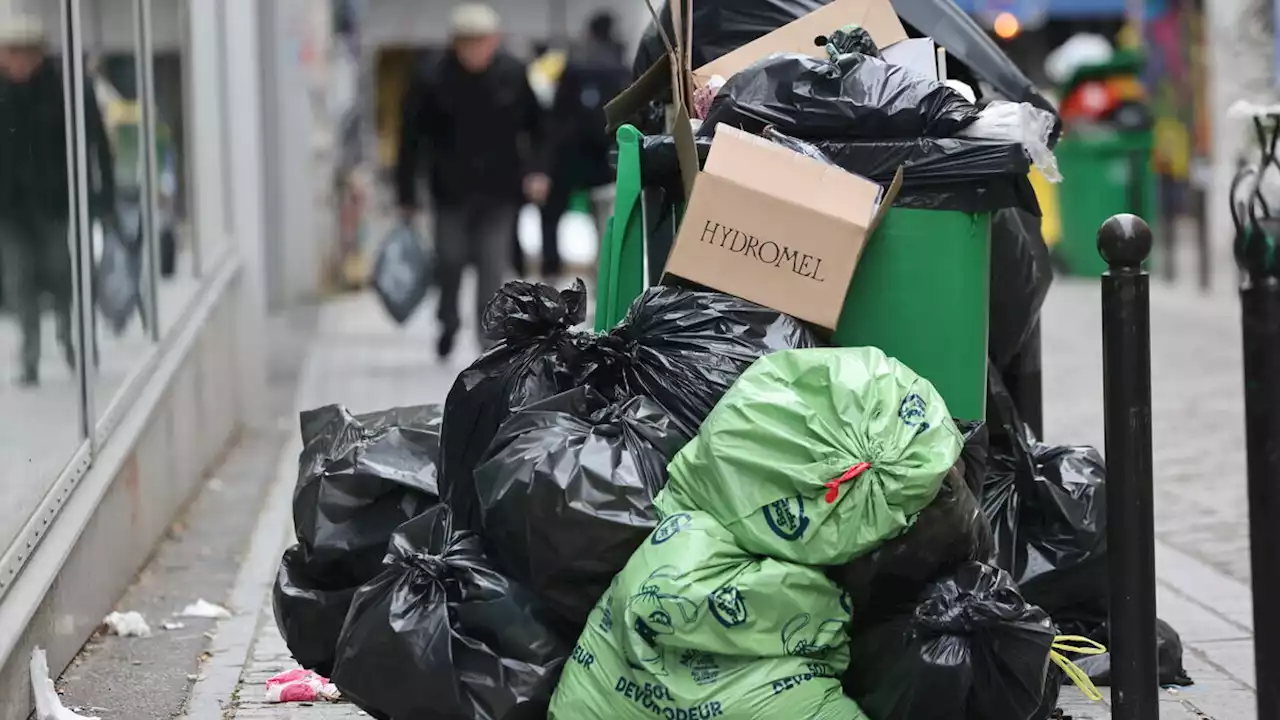 Grève des éboueurs à Paris : des bennes et du personnel en renfort dans le XVe arrondissement