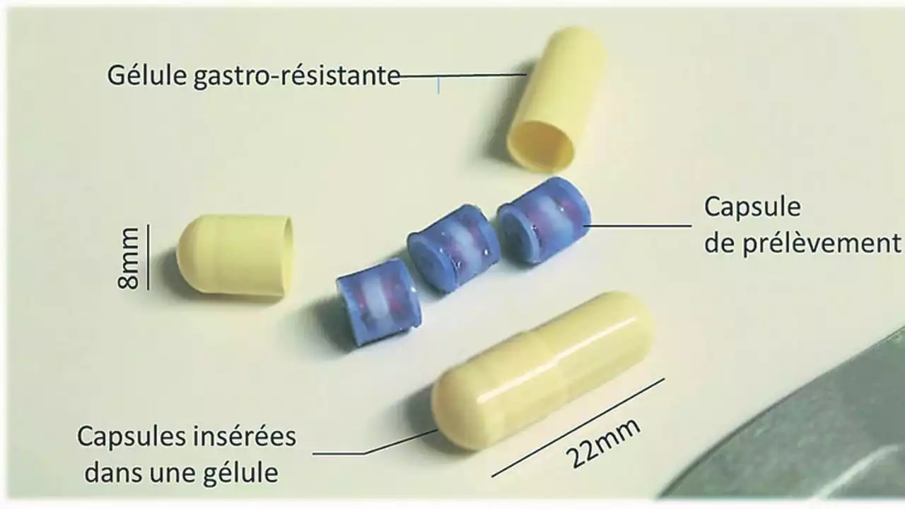 Pelican Health développe une gélule pour explorer le microbiote intestinal