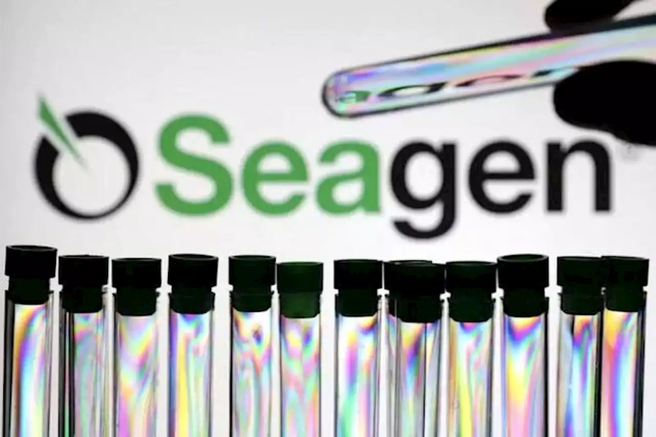 Pfizer compra Seagen por U$S 43.000 millones: esto sabemos