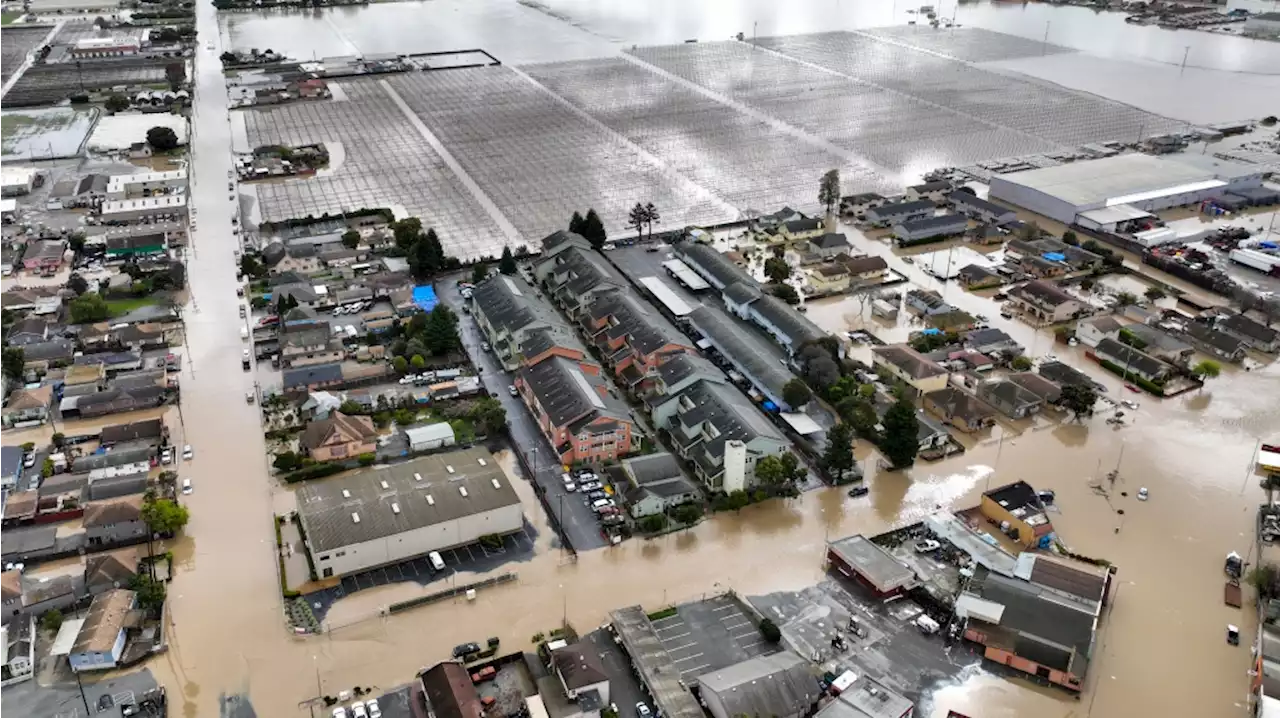 Bay Area storms: New atmospheric river expected to arrive overnight, Pajaro floodwaters approach highway 68