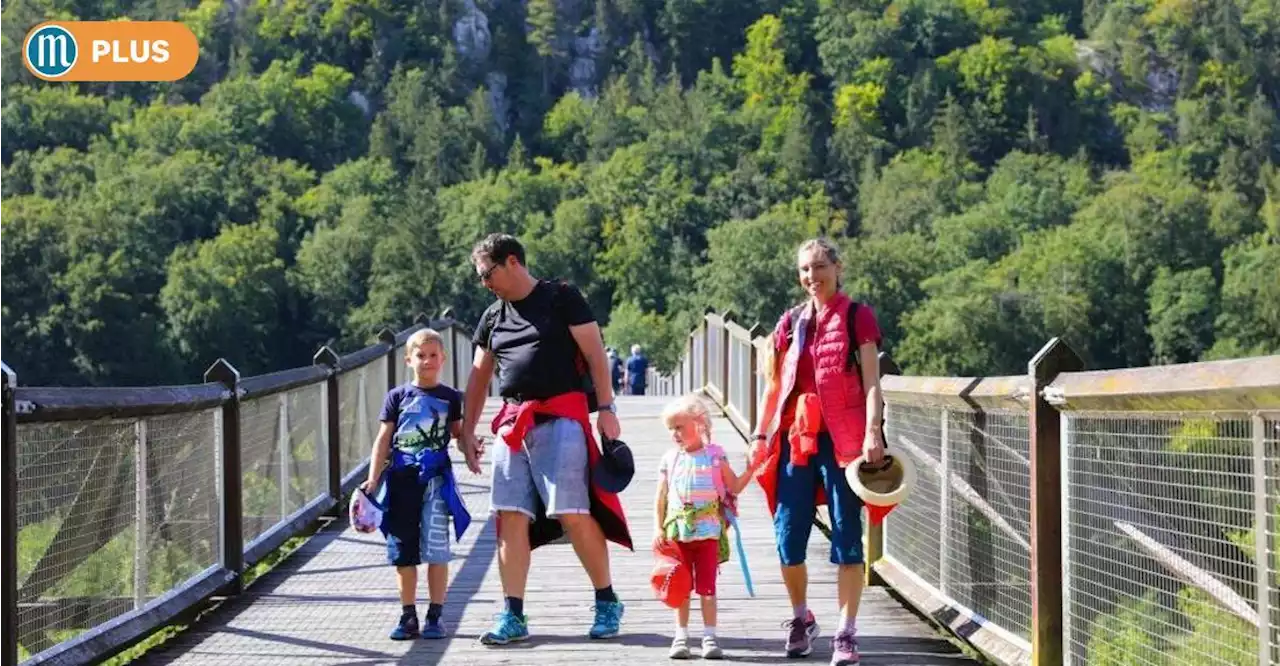 Kelheims Tourismus überwindet die Corona-Delle