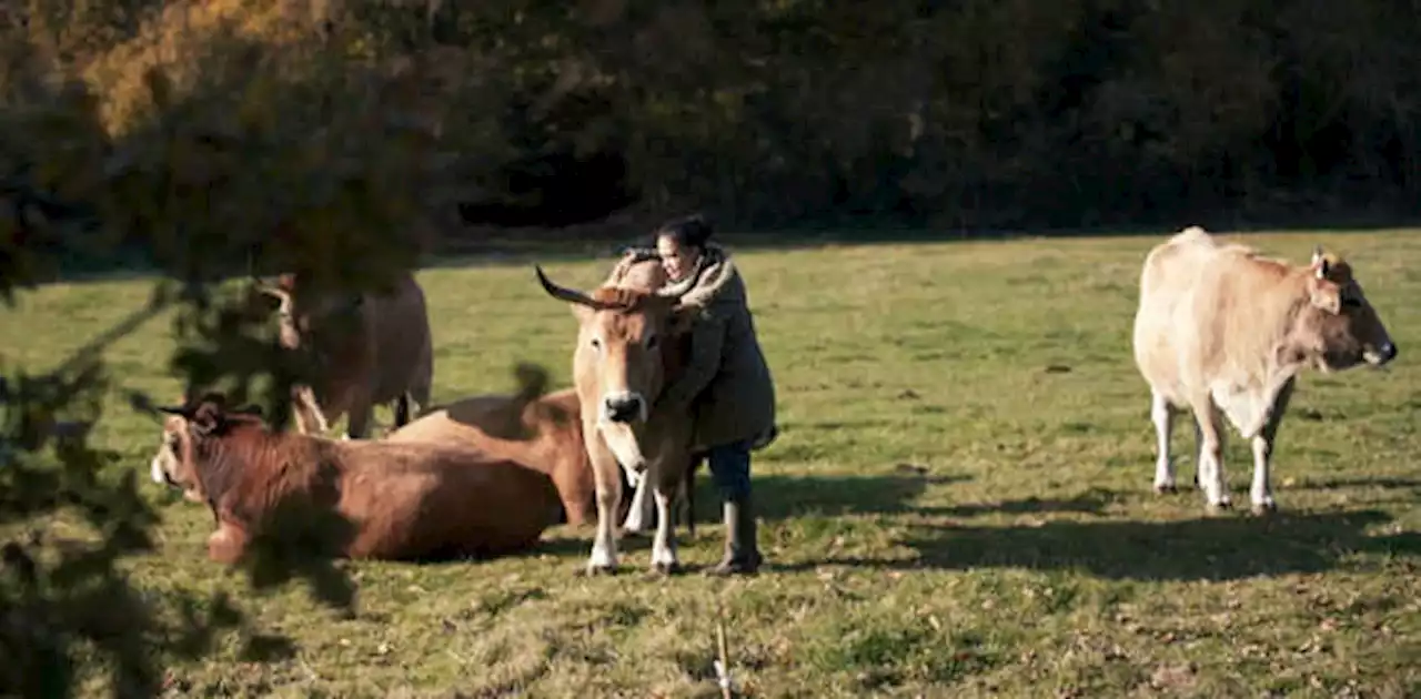 « L'usine des animaux » : un documentaire inédit sur la réalité des élevages industriels ce mardi 14 mars 2023 sur Arte