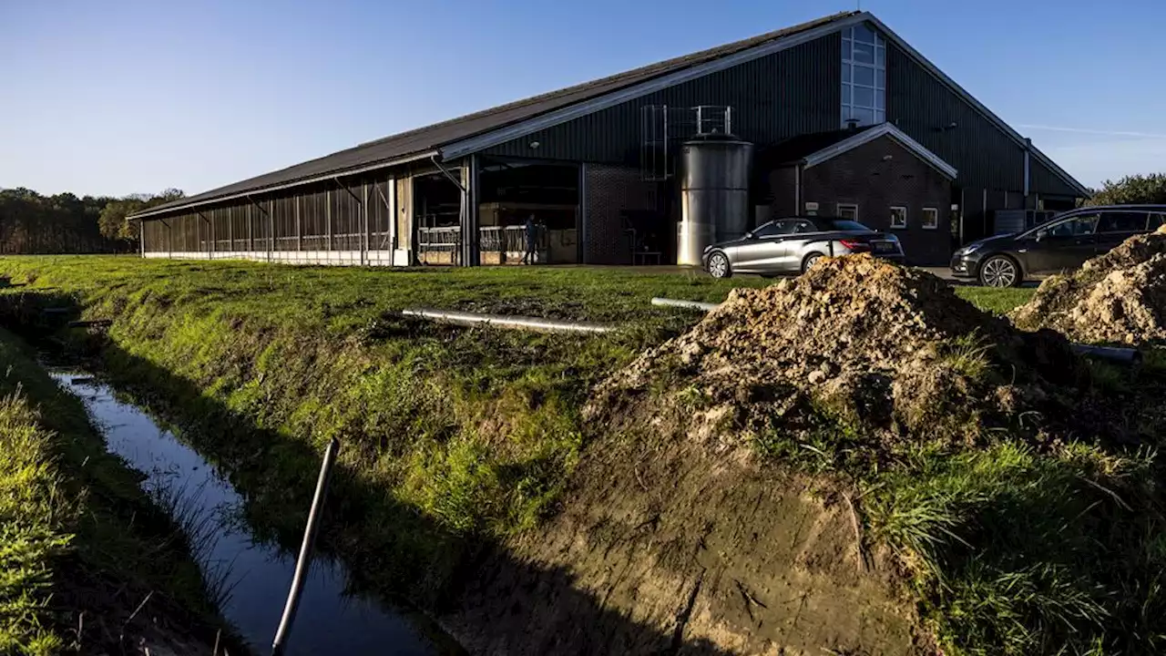 Kunnen deze verkiezingen nog iets veranderen aan het stikstofbeleid?