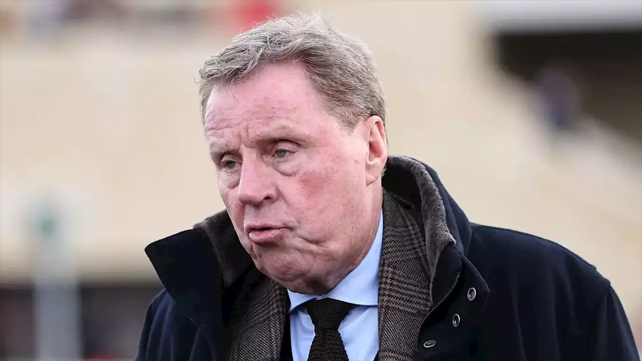 Harry Redknapp selects these two Newcastle United stars