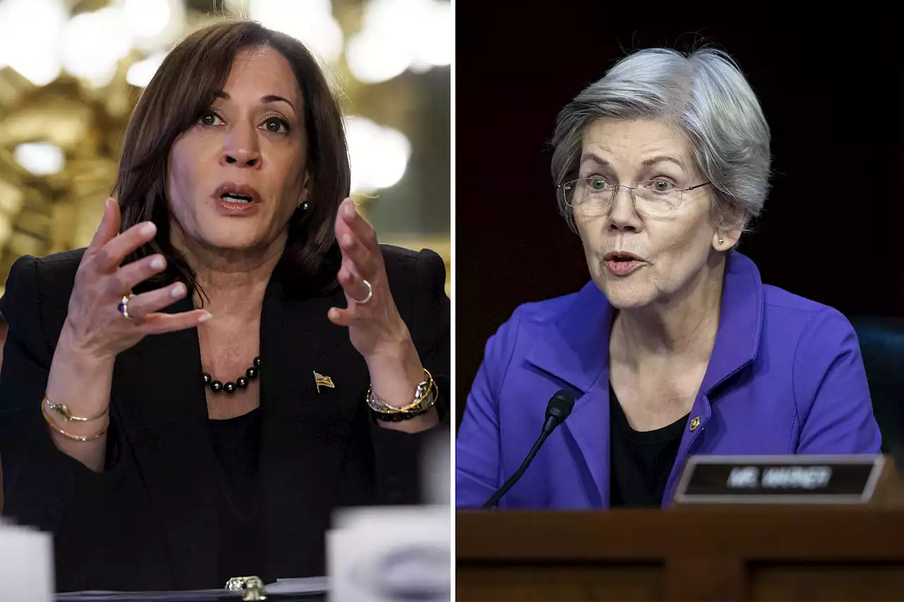 Kamala Harris won’t speak to Elizabeth Warren after 2024 slight: report