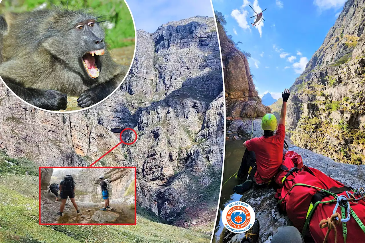 Rock-throwing baboons break hikers’ legs: ‘Exploded on impact’