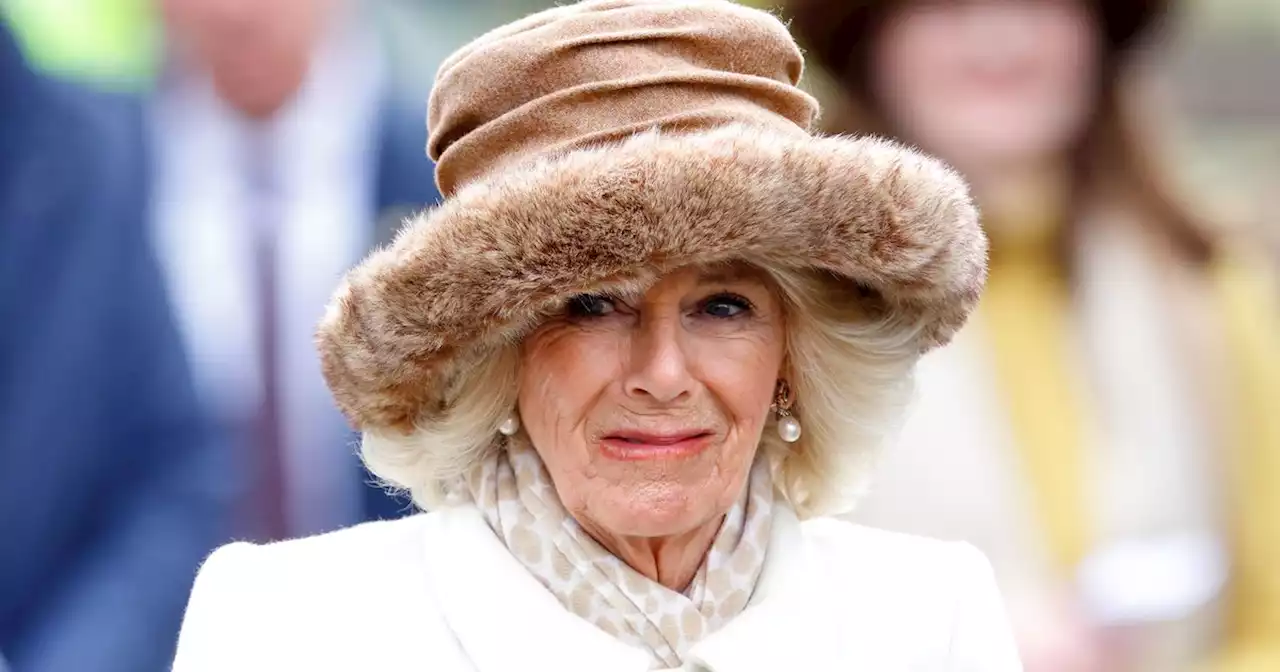 Camilla's Coronation plan for grandchildren after Archie and Lilibet 'snub'