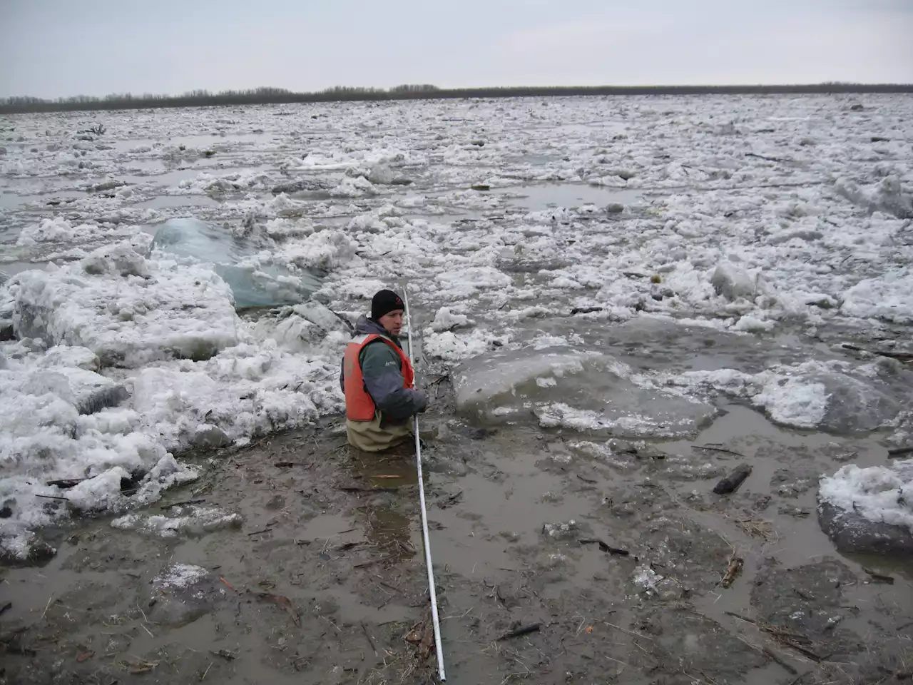 Researchers find decaying biomass in Arctic rivers fuels more carbon export than previously thought